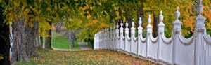 Tree-lined neighborhood street with mature trees displaying vibrant fall foliage in yellow and green, framing a white decorative fence