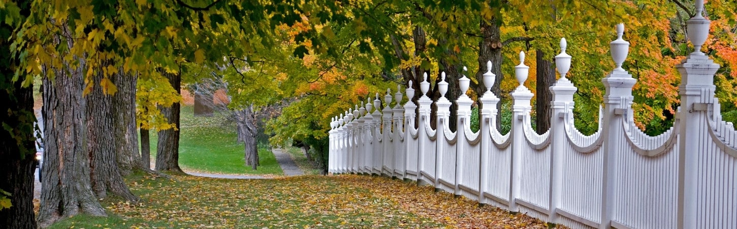 Tree-lined neighborhood street with mature trees displaying vibrant fall foliage in yellow and green, framing a white decorative fence