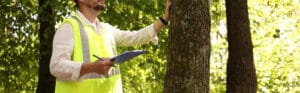 Professional arborist in a high-visibility safety vest inspecting a tree trunk and taking notes on a clipboard during a tree assessment