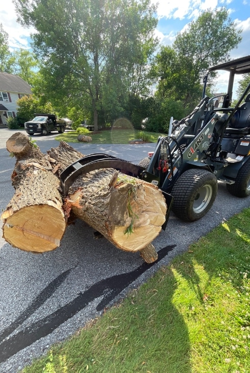 Skid steer loader with grapple claw holding large tree logs on a residential driveway